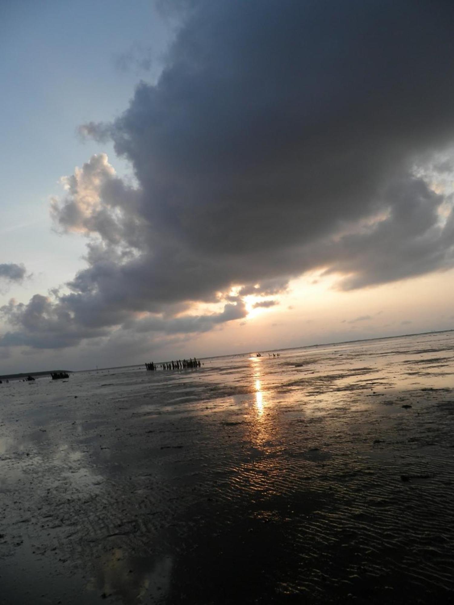Urlaubsruhe 6 Pers Holiday Home W Terrace Close To National Park Lauwersmeer Anjum Екстер'єр фото